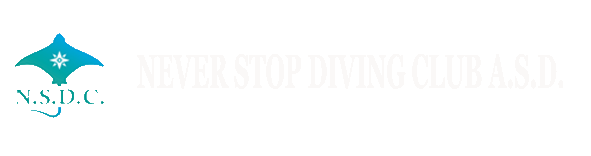 neverstopdivingclub.it